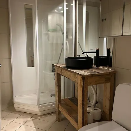 With Large Outdoor Area Holiday home Hamar (Hedmark)